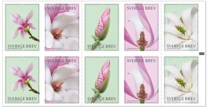 150507_frimarke_magnolior_hafte