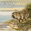 Mårdhund