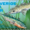 fiske-frimarke-sverige-180503-6